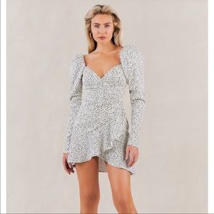 NWT Misha Lourdetta Spot Print Dress